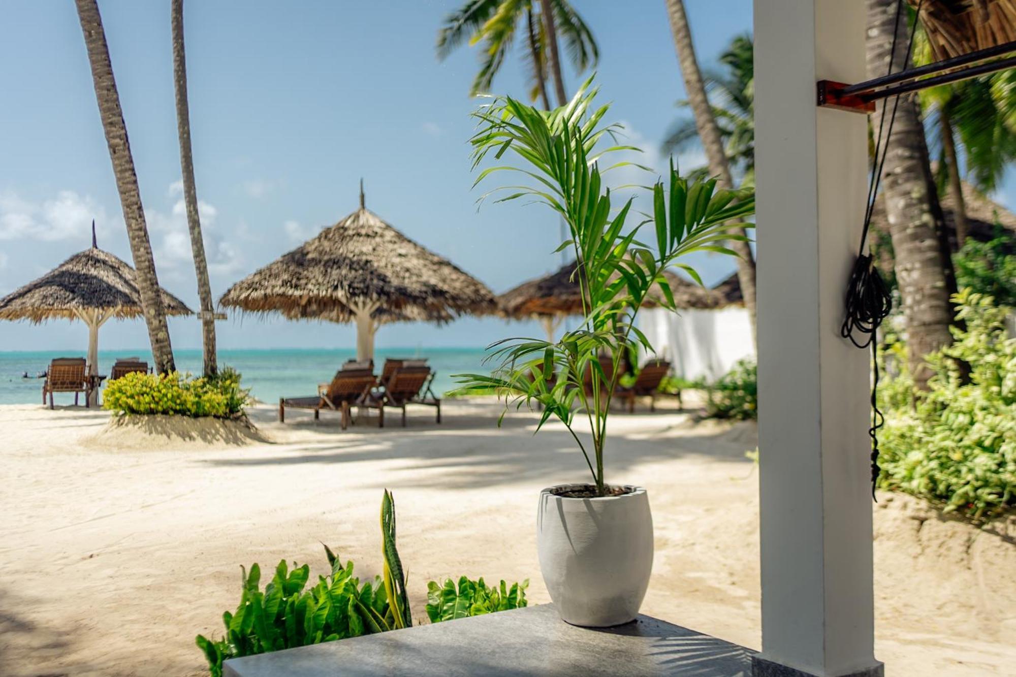Savera Beach Houses Jambiani  Buitenkant foto